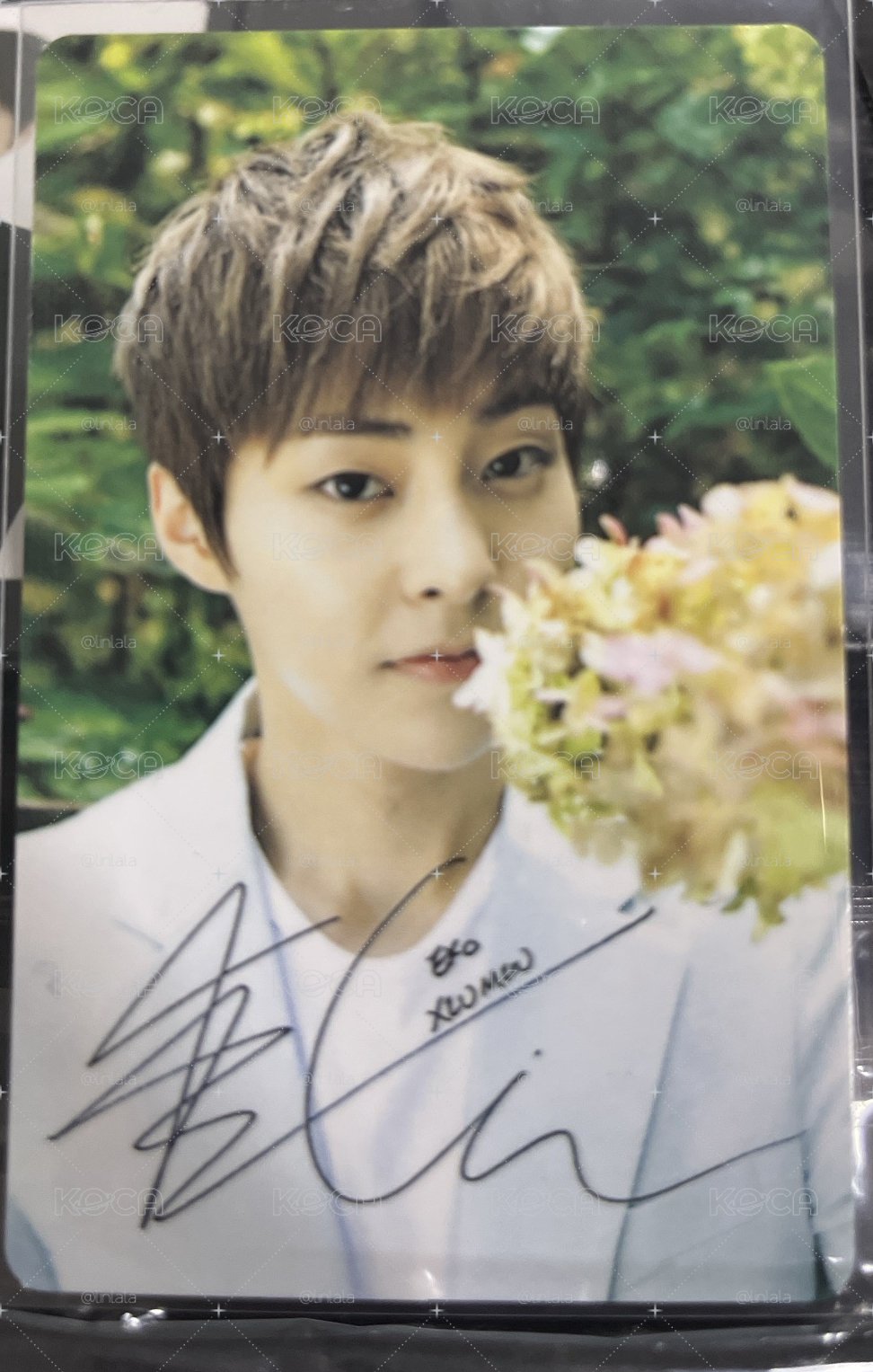 自然樂園小卡 xiumin