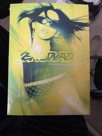 柳風