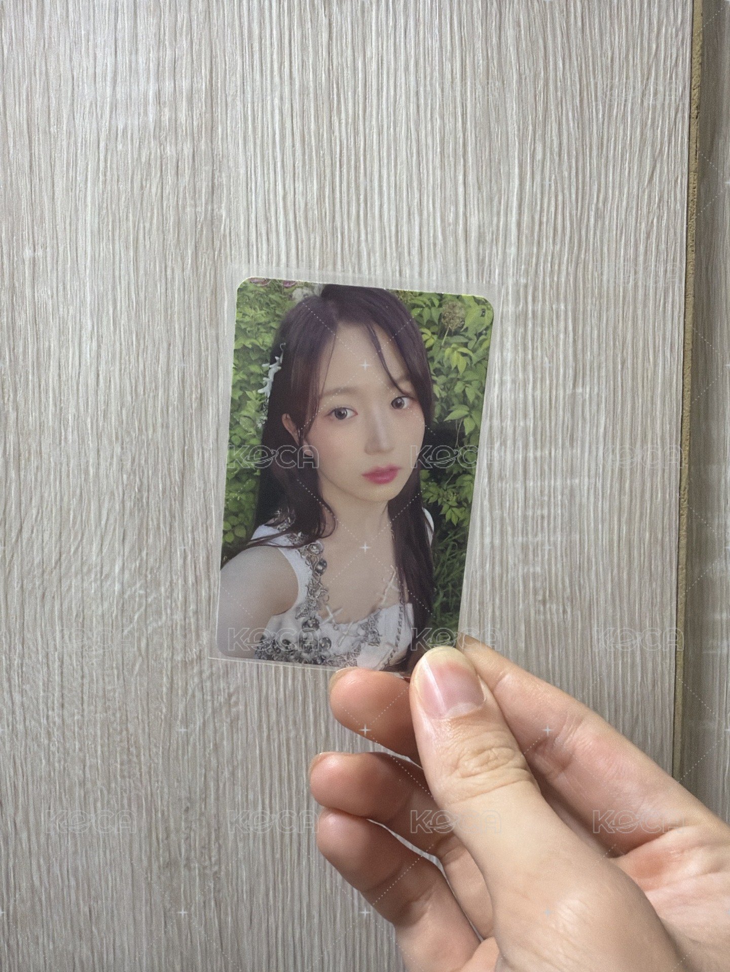 海源美美的