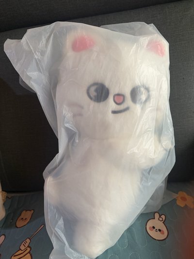 3rd 世巡辰 側背娃