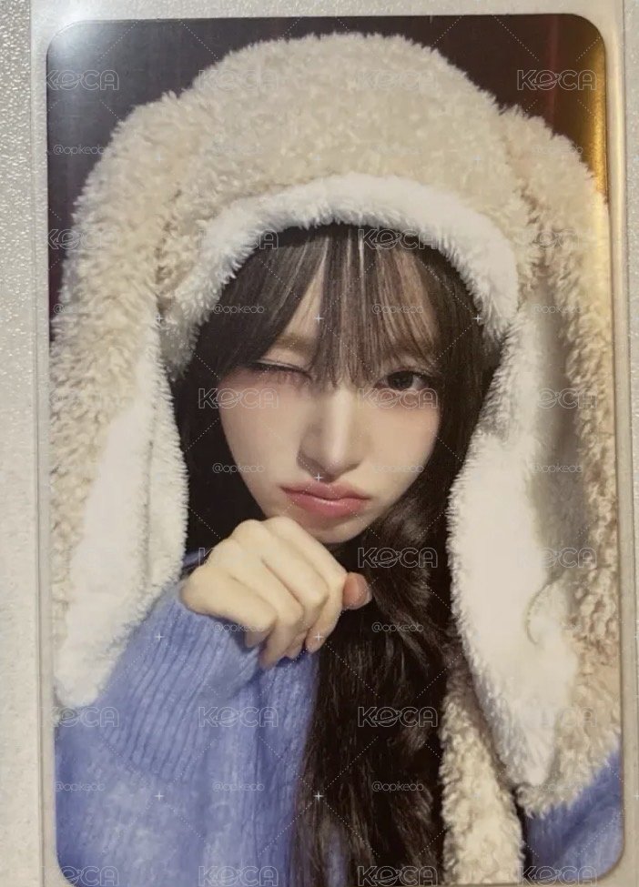Liz小卡