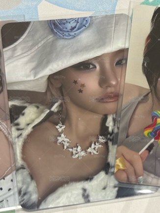 可愛小貓