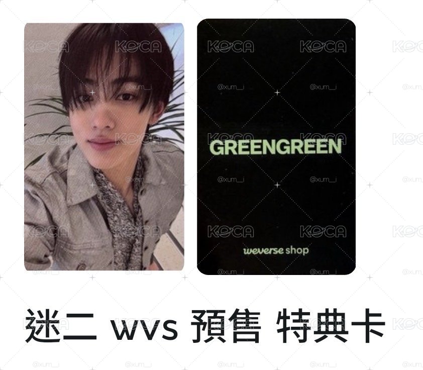 ★骰專全專+嚴wvs預售特典