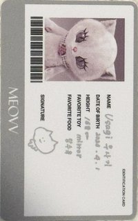 BITE NOW KITTY PLUSH ver. 專輯卡 ID證