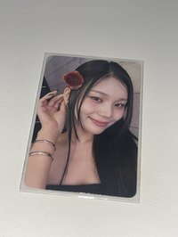 智5