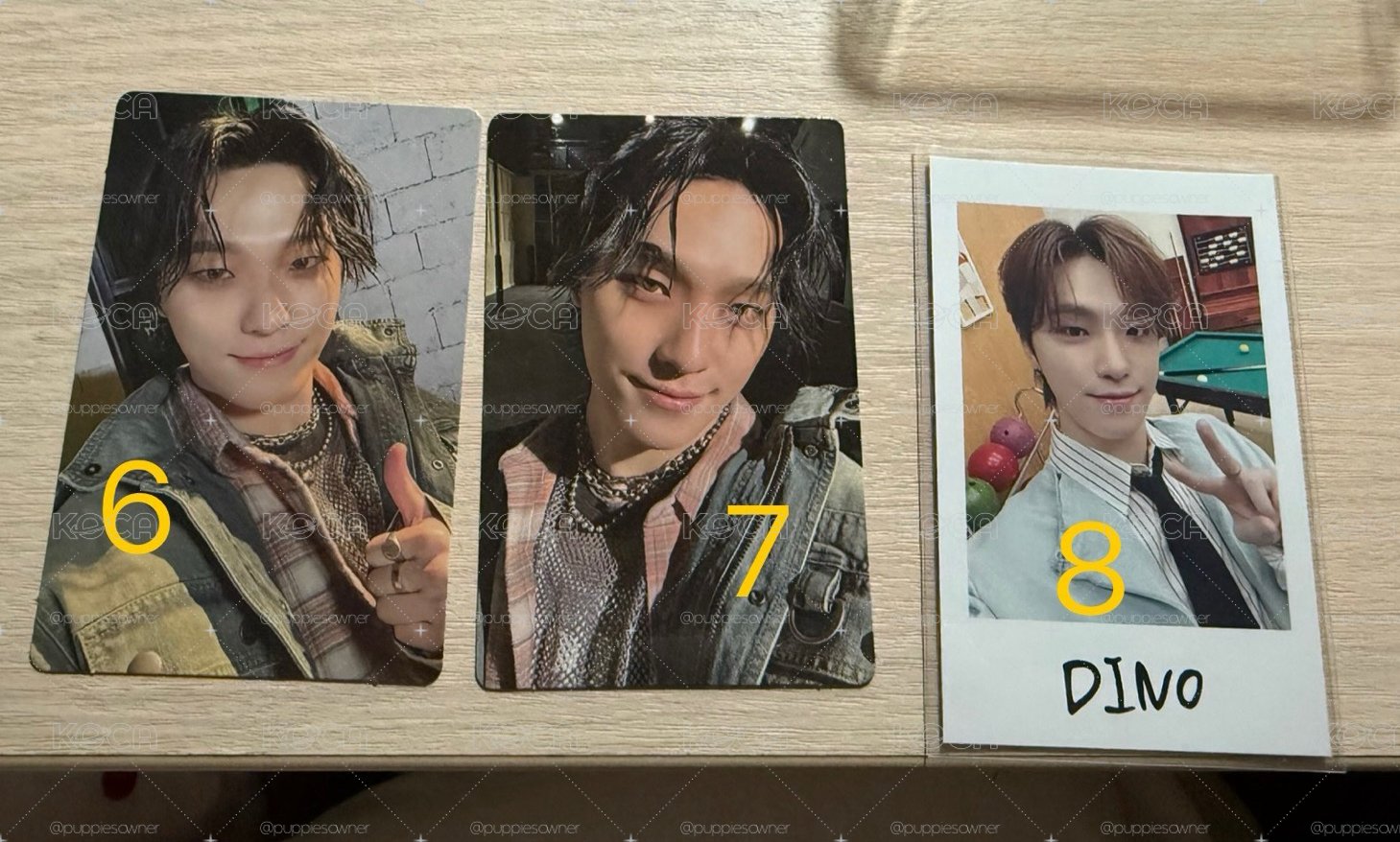 svt dino小卡🦦