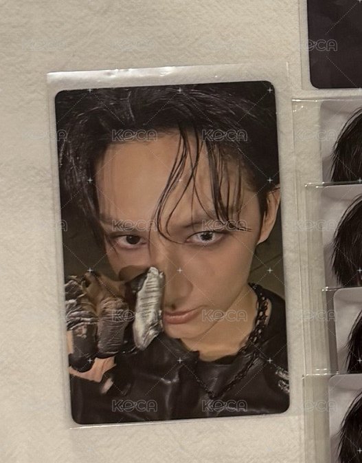 kit-俊