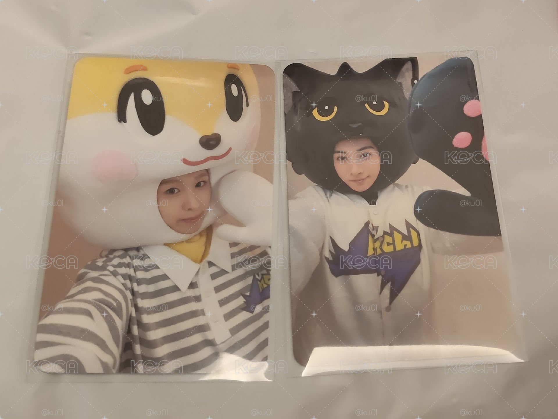 音中打歌🐈‍⬛🐿️