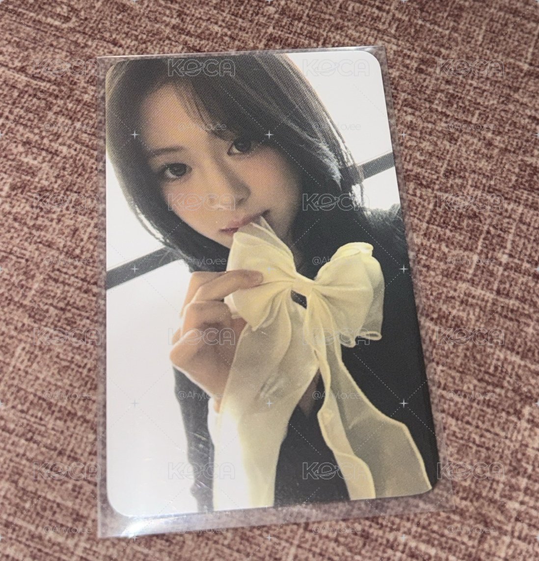 超美蝴蝶結🎀