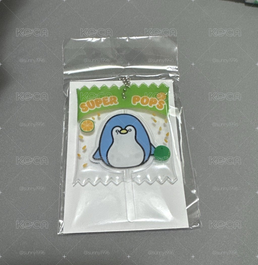 送小卡 SJ Market 圭賢 日週 動物鑰匙圈