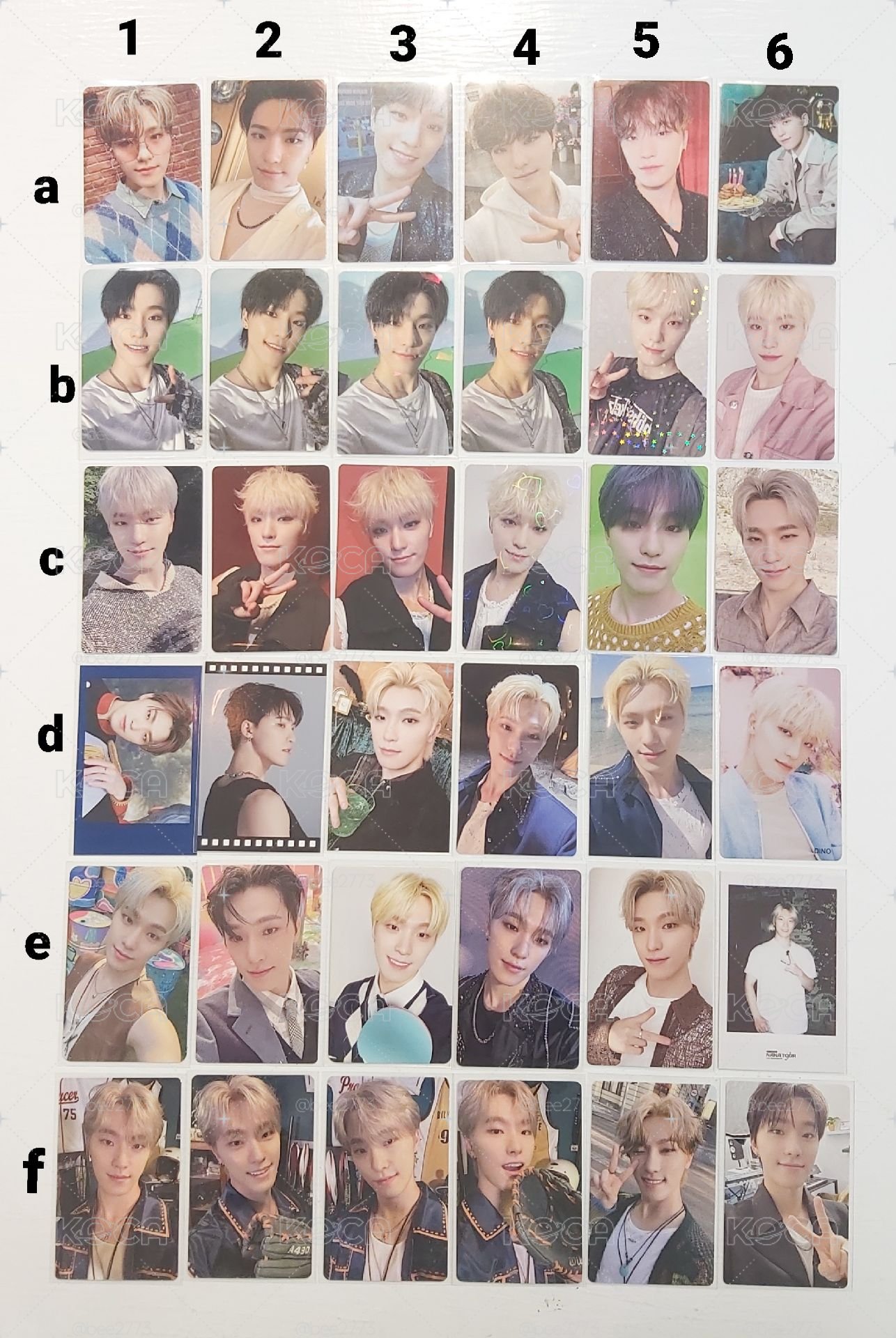 SEVENTEEN DINO特典