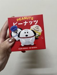 娃娃 peanuts