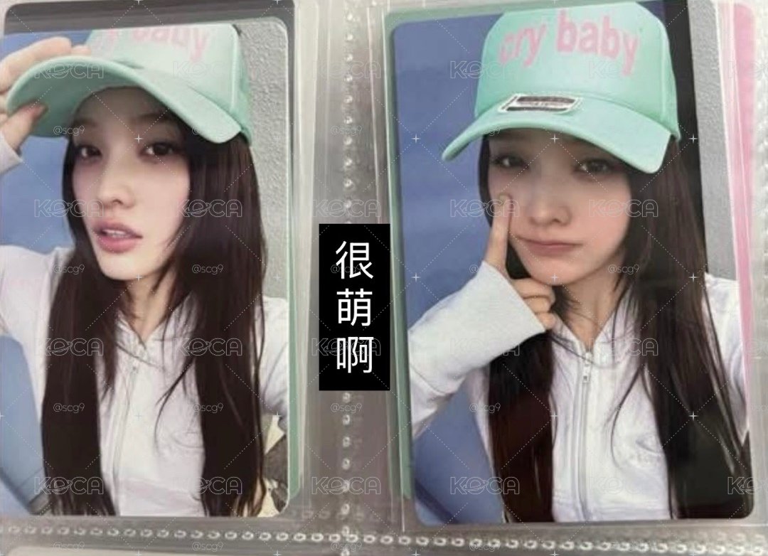 🩷兩張羽