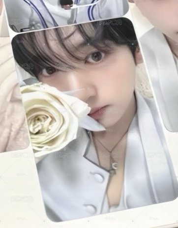 SC玫瑰花