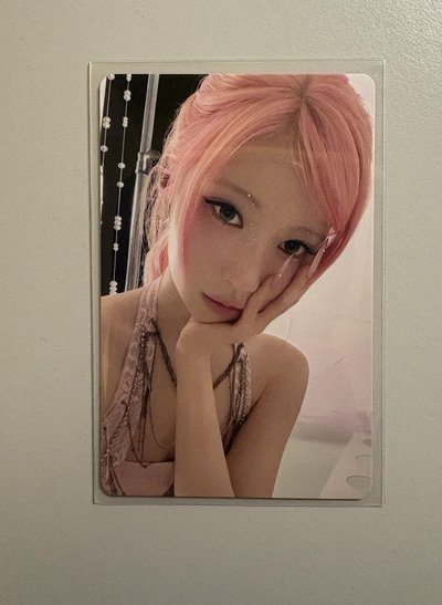 紗專區