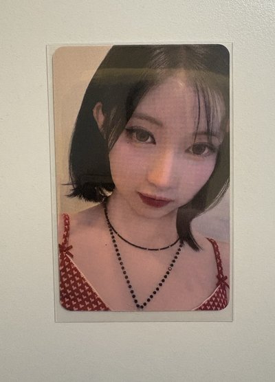 紗專區