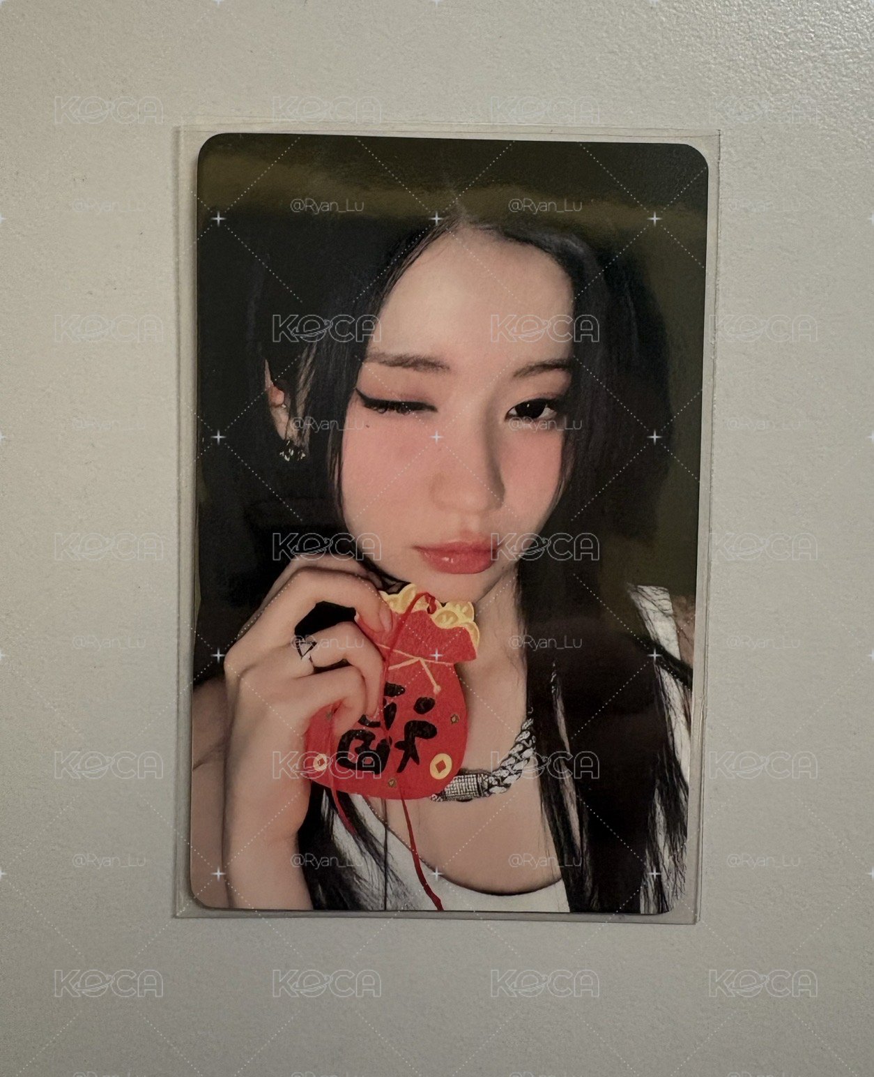 紗專區