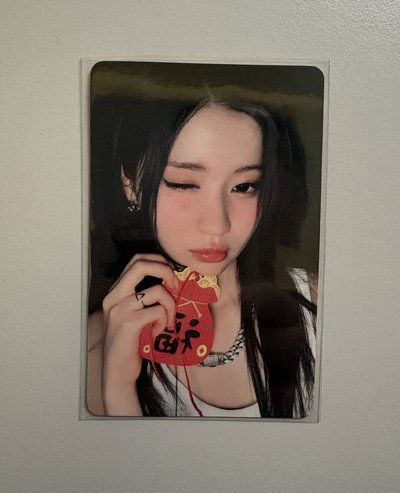 紗專區