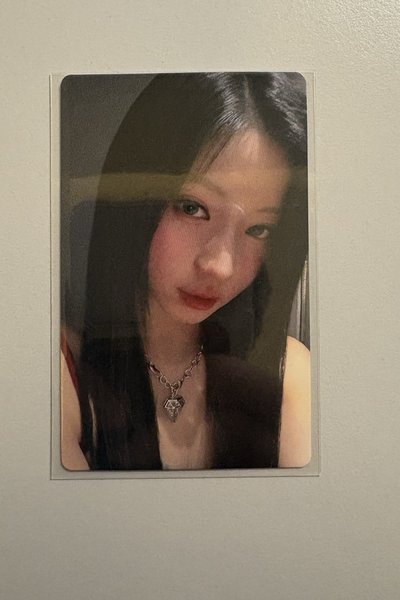 紗專區