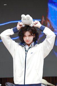 Seli