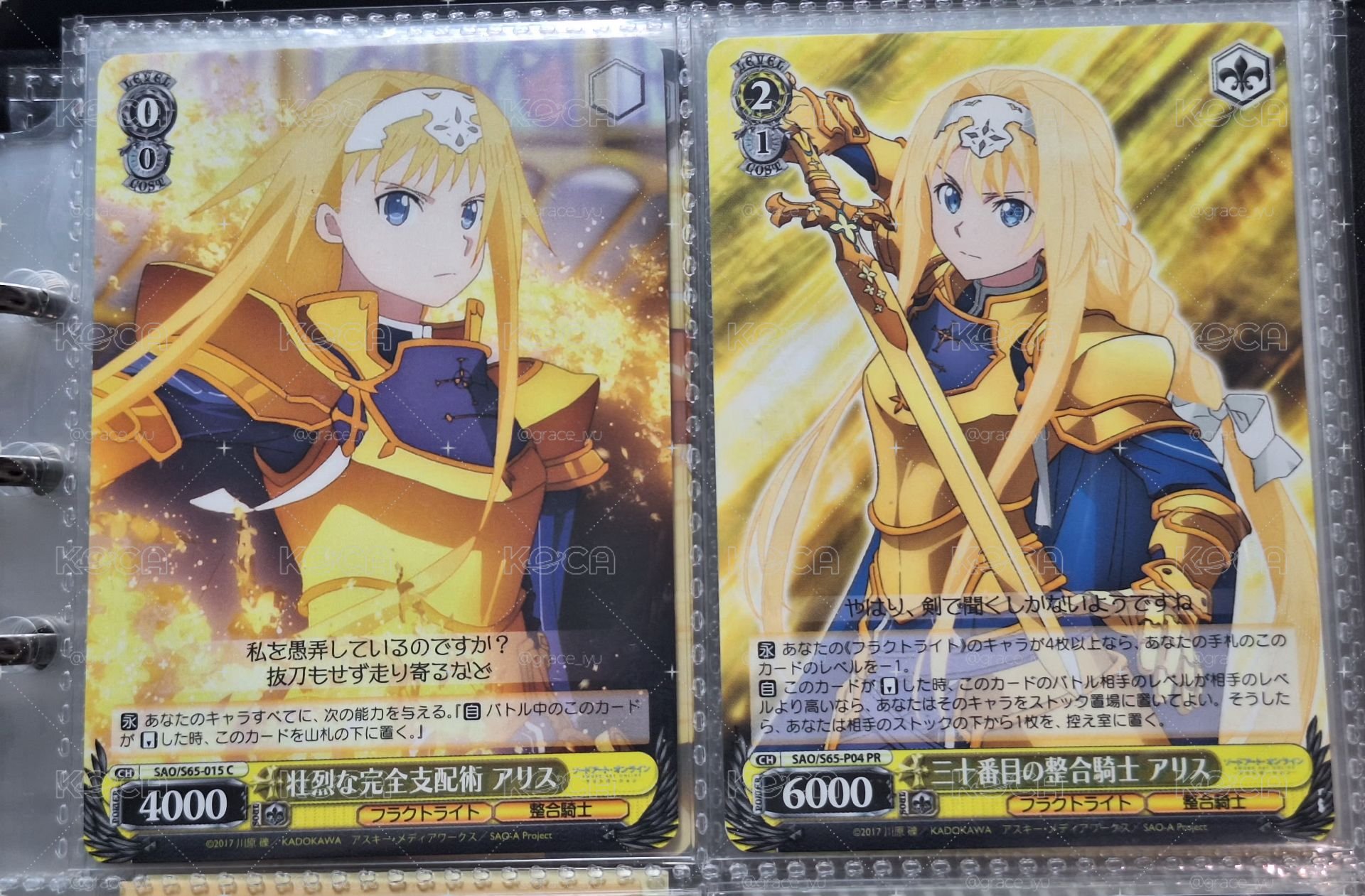 刀劍神域 愛麗絲卡