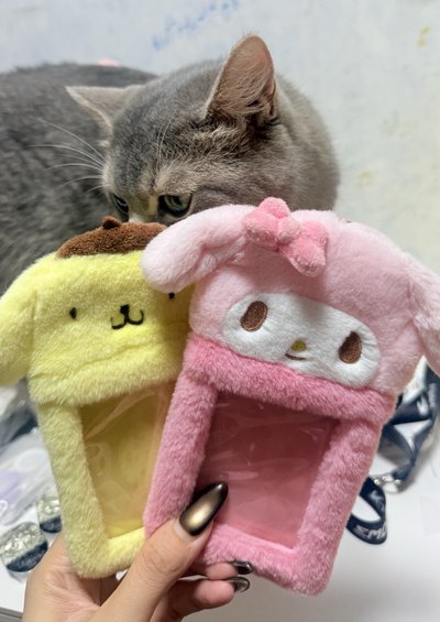 三麗鷗卡套