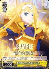 遊戲卡 WS