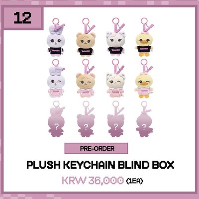 【預購】BLACKPINK × TAMAGOTCHI 韓國快閃盲盒確認款