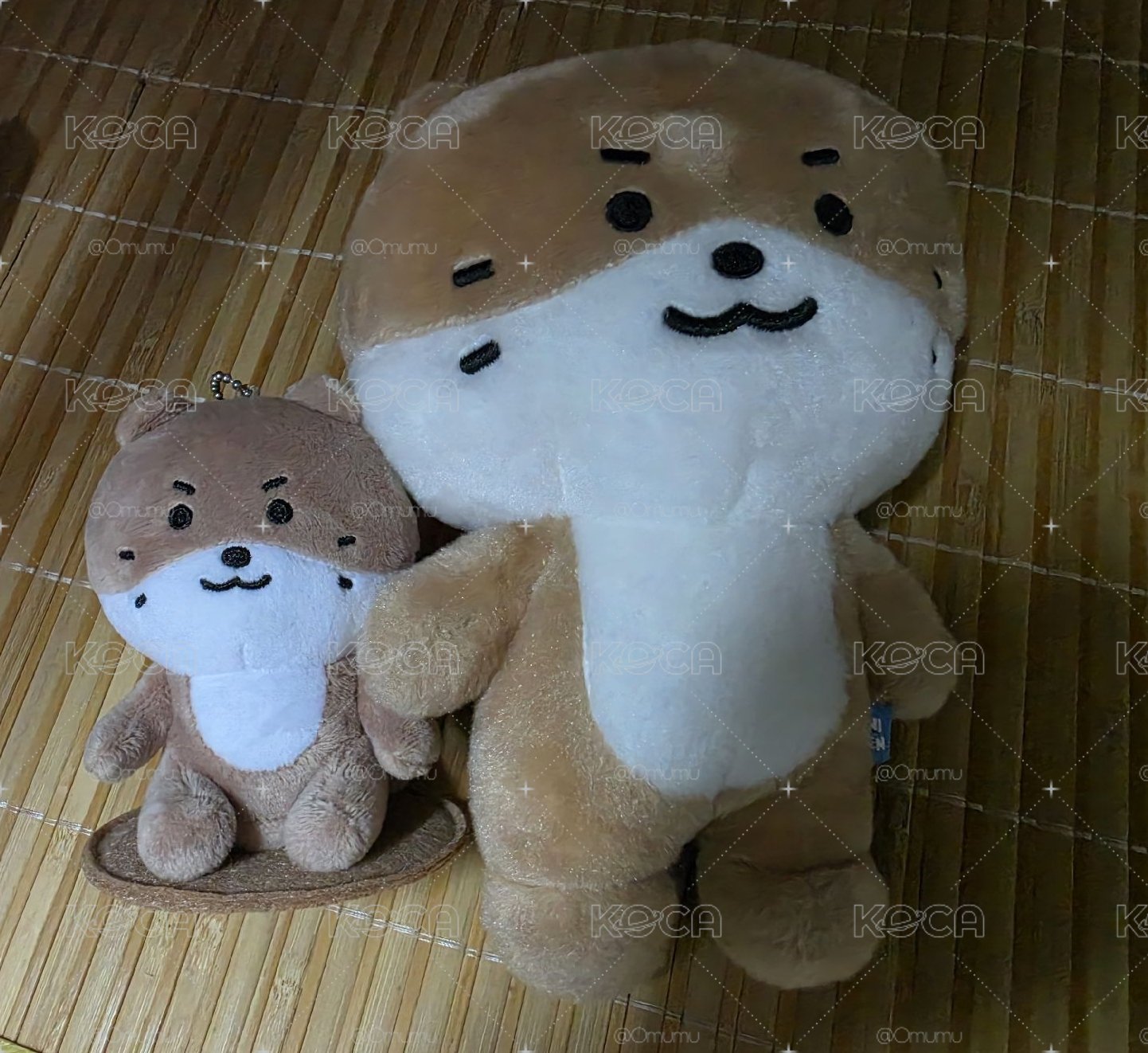 MINITEEN 燦坐娃+站娃