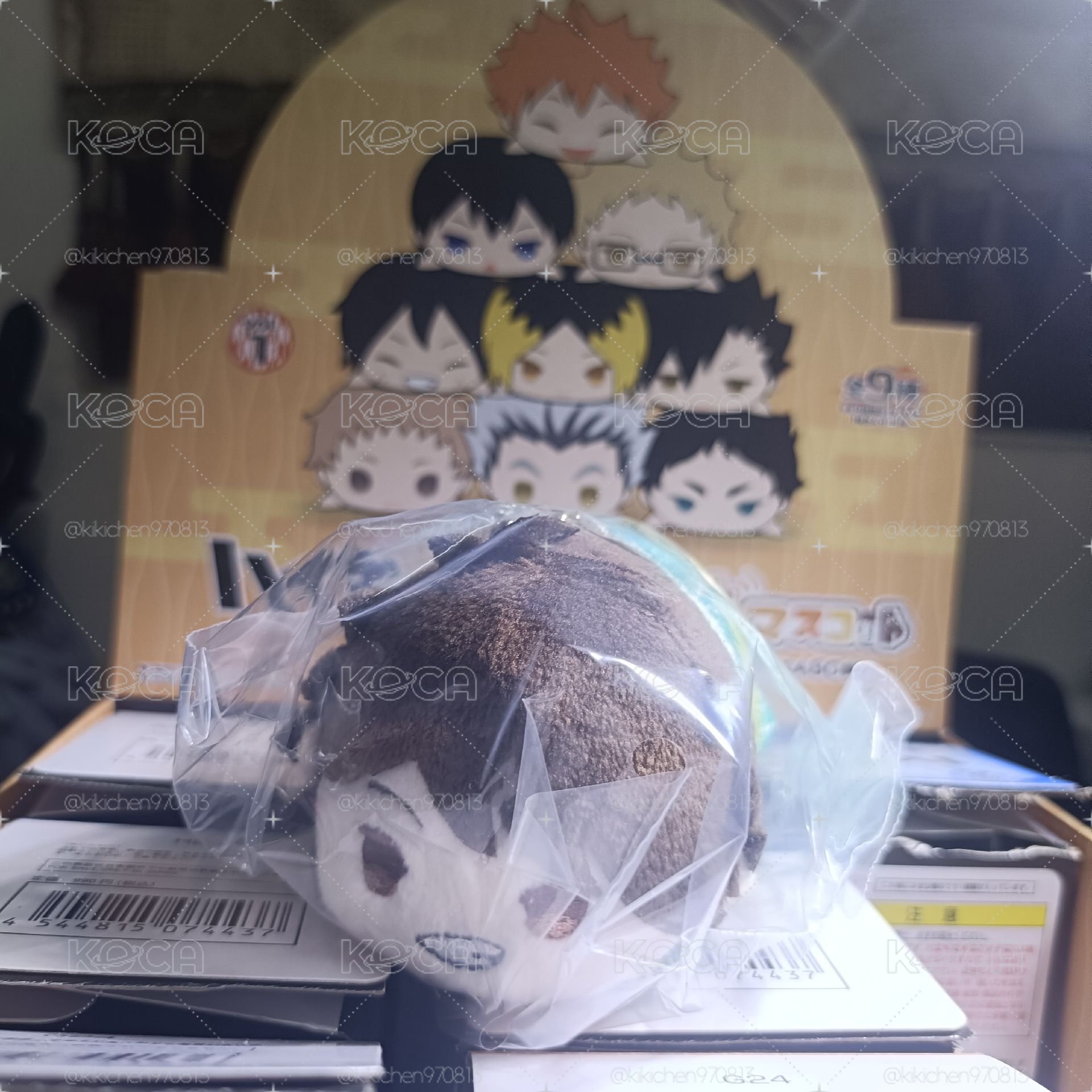 及川 羽織趴娃