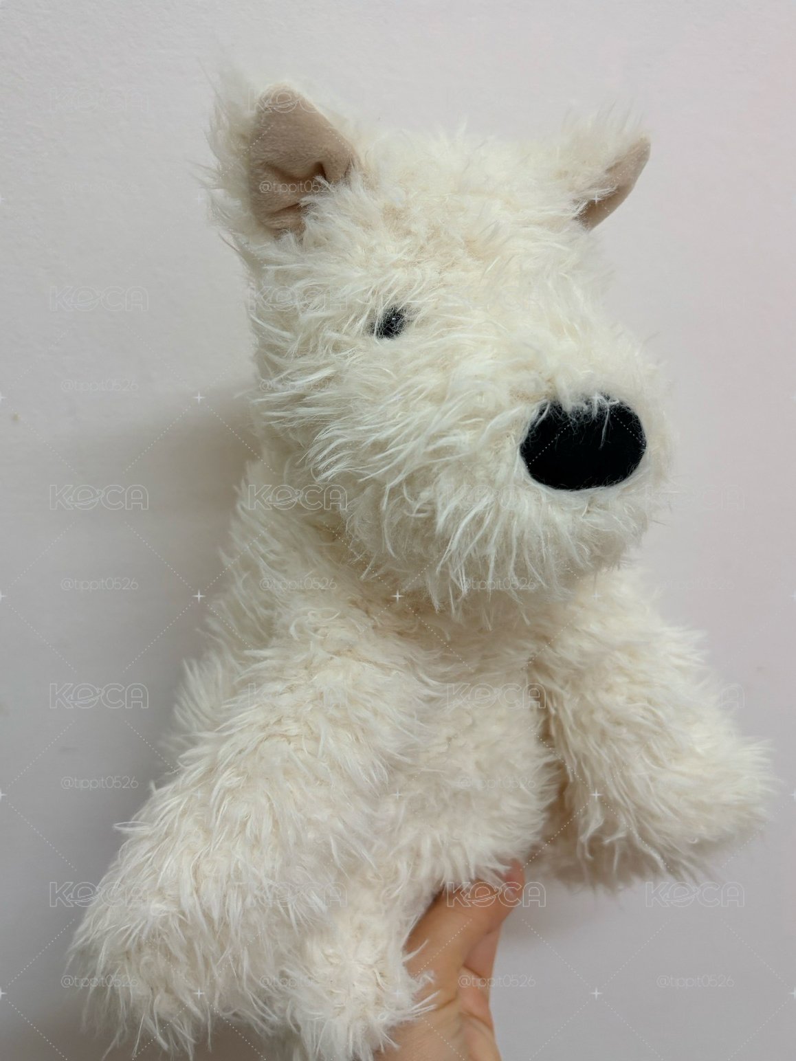 Jellycat 西高地 23 cm