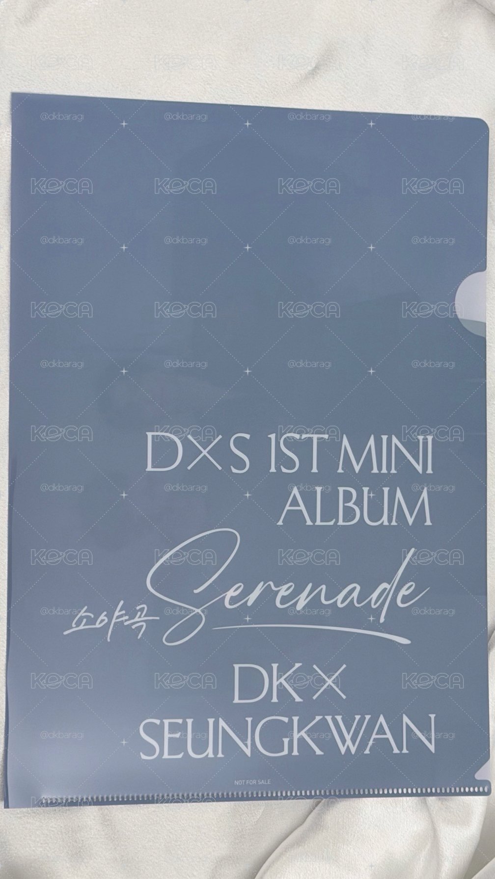 DxS一套未拆專+日本特典文件夾