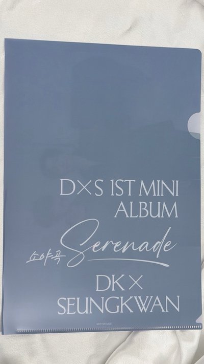 DxS一套未拆專+日本特典文件夾