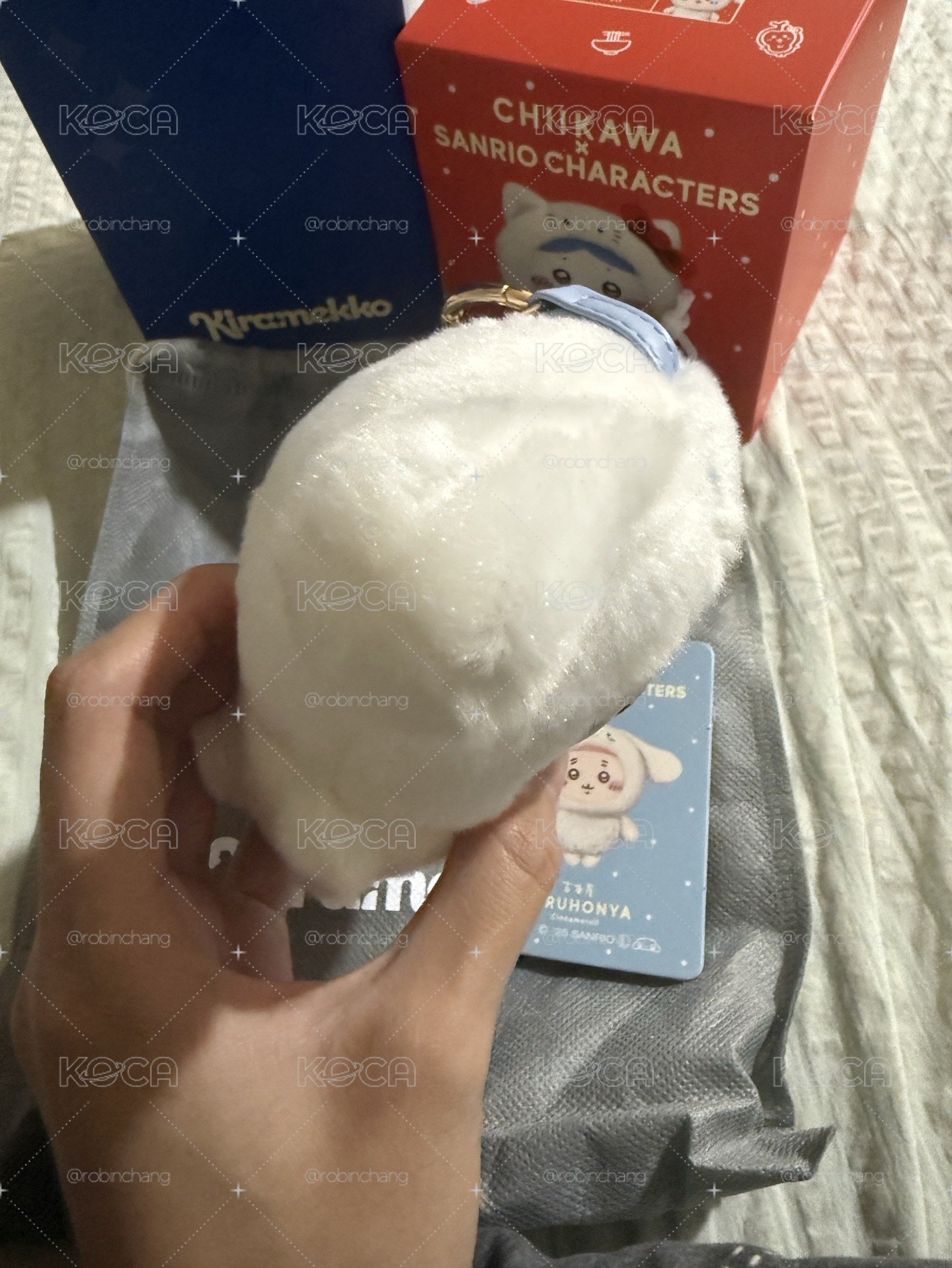 古本&大耳狗 