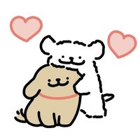 線條小狗 Maltese