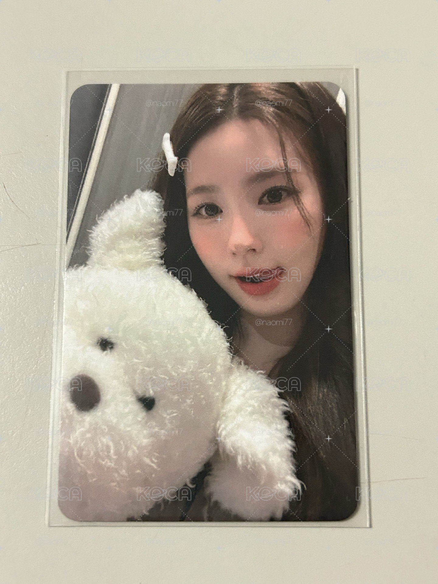 狗狗麵