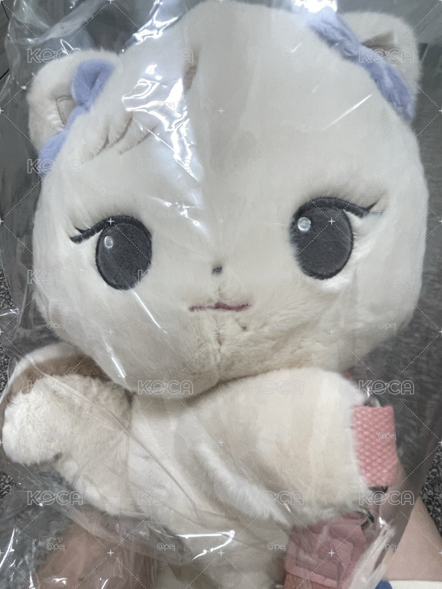 【售】三巡快閃店斜背肉娃（買送肉卡）