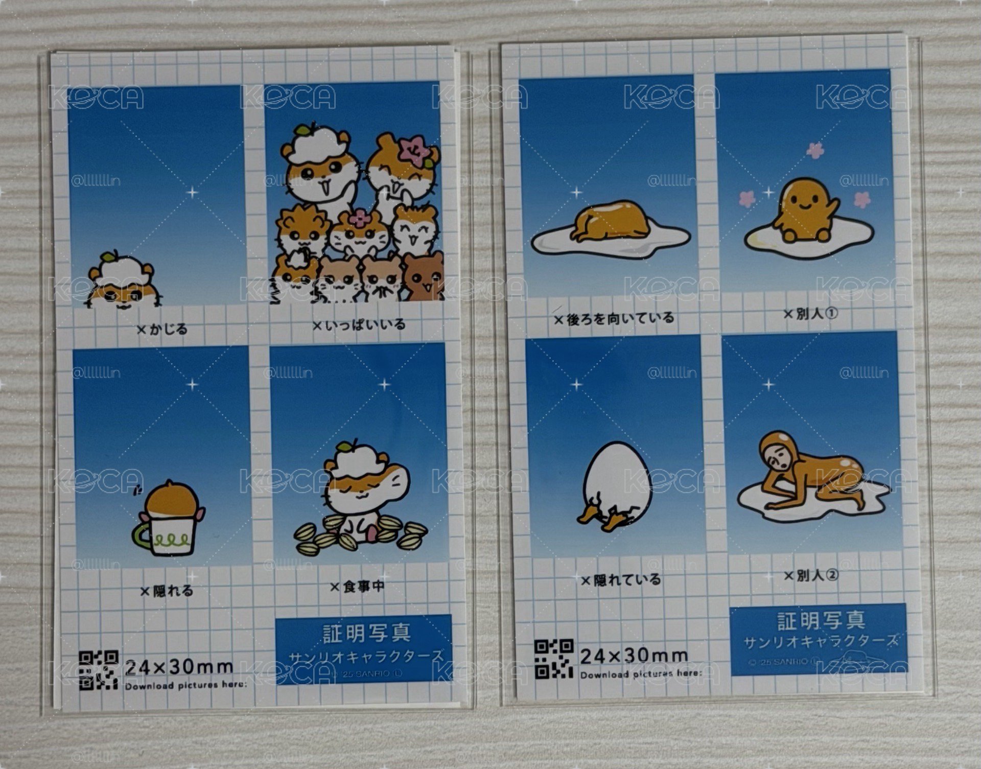 三麗鷗證件照