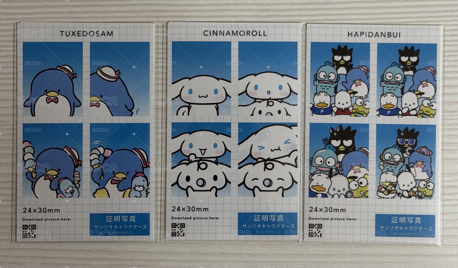 三麗鷗證件照