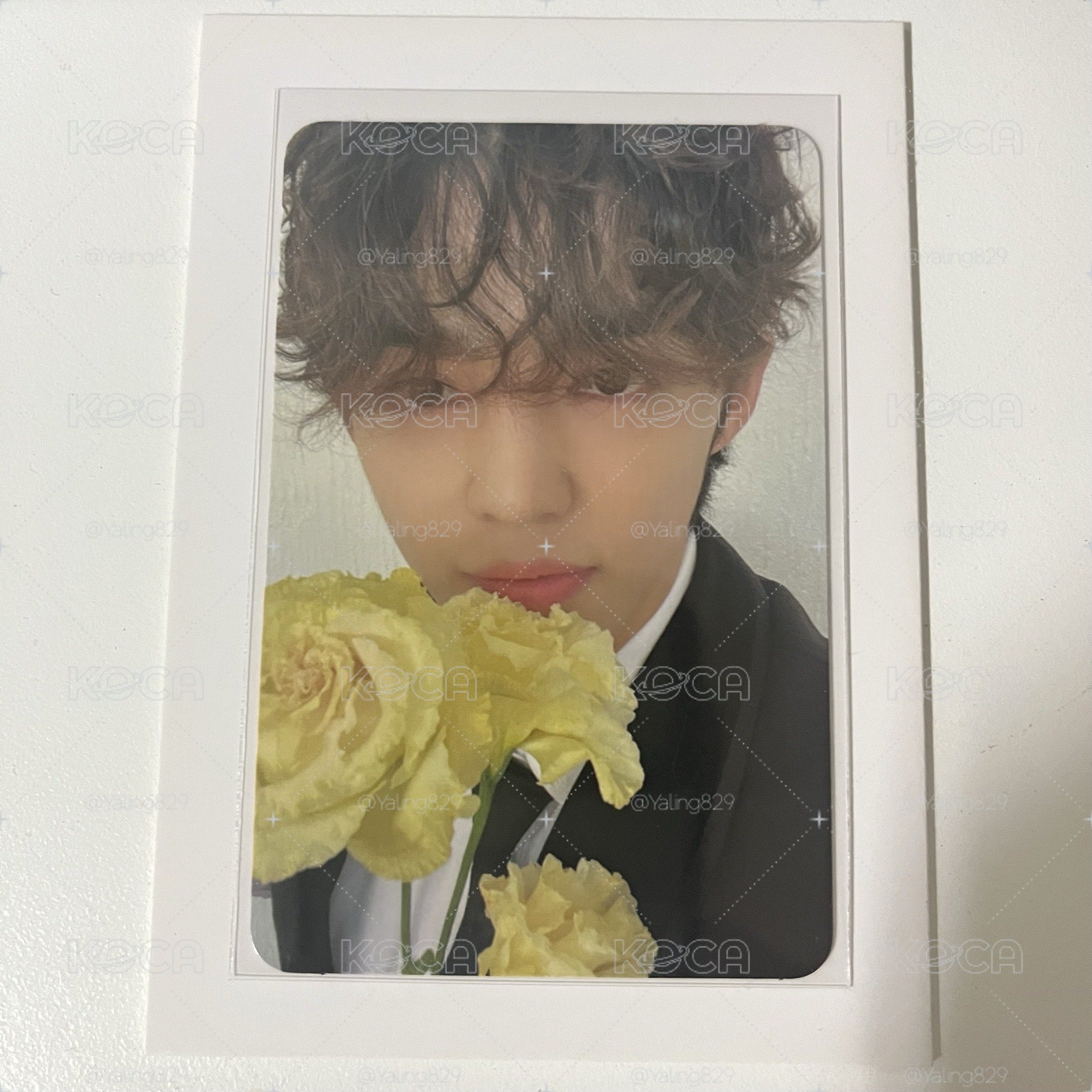 MINI10 Carat.ver 專卡