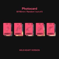 WILD wild heart ver專卡