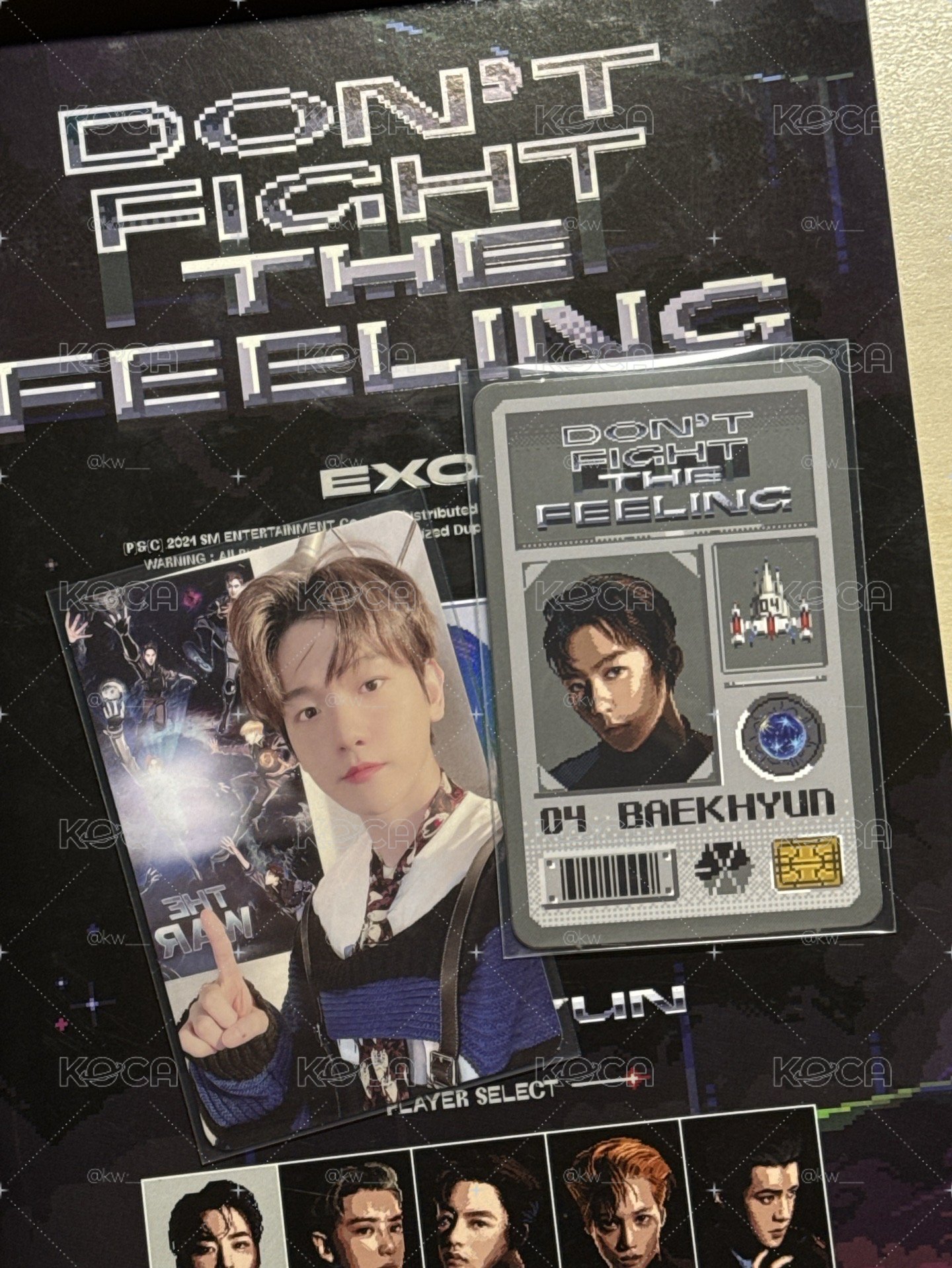 EXO Don't Fight the Feeling 專輯 伯賢