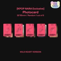 WILD kpop nara wild heart ver特典卡