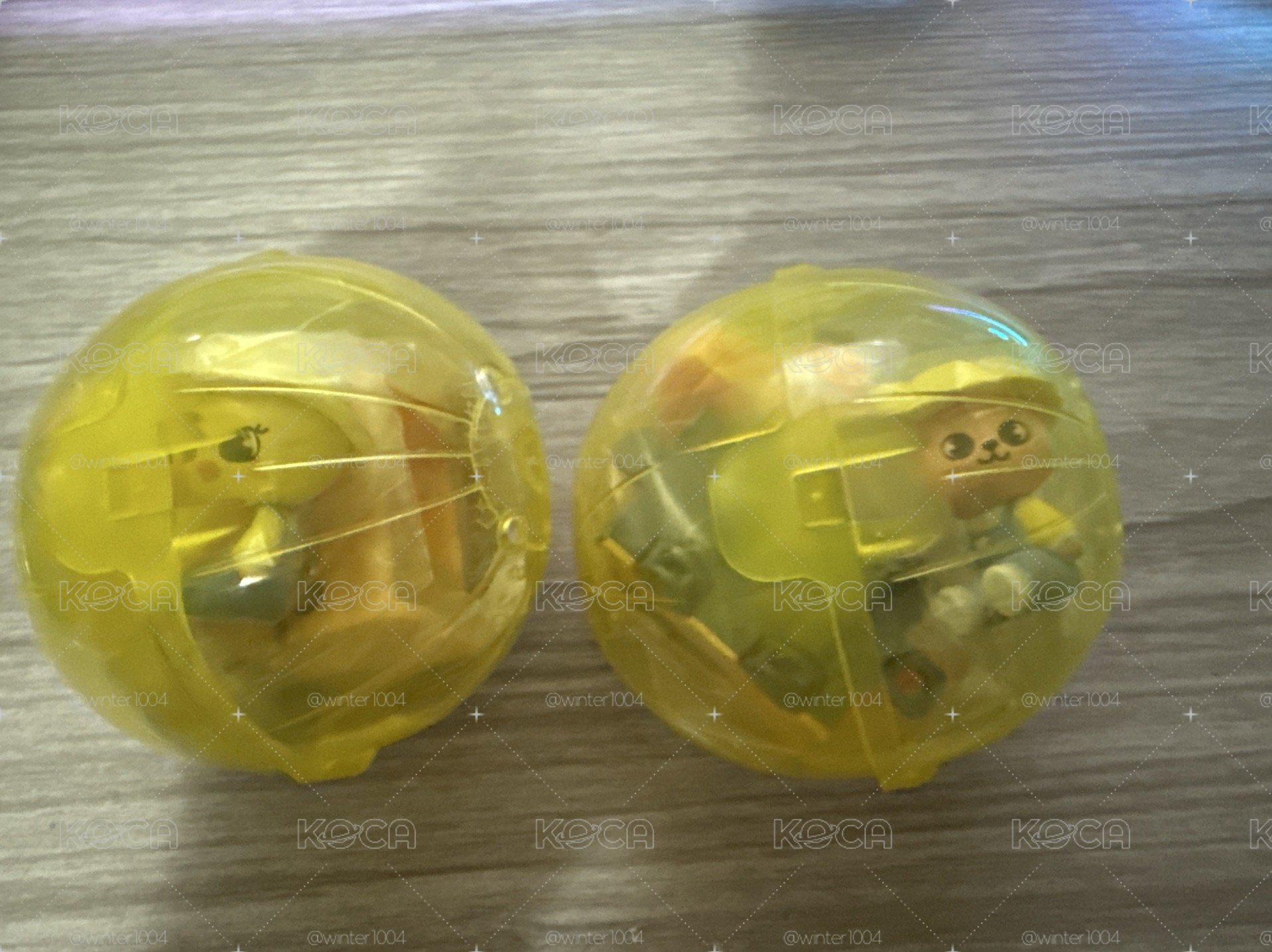貓狗學校1522校車