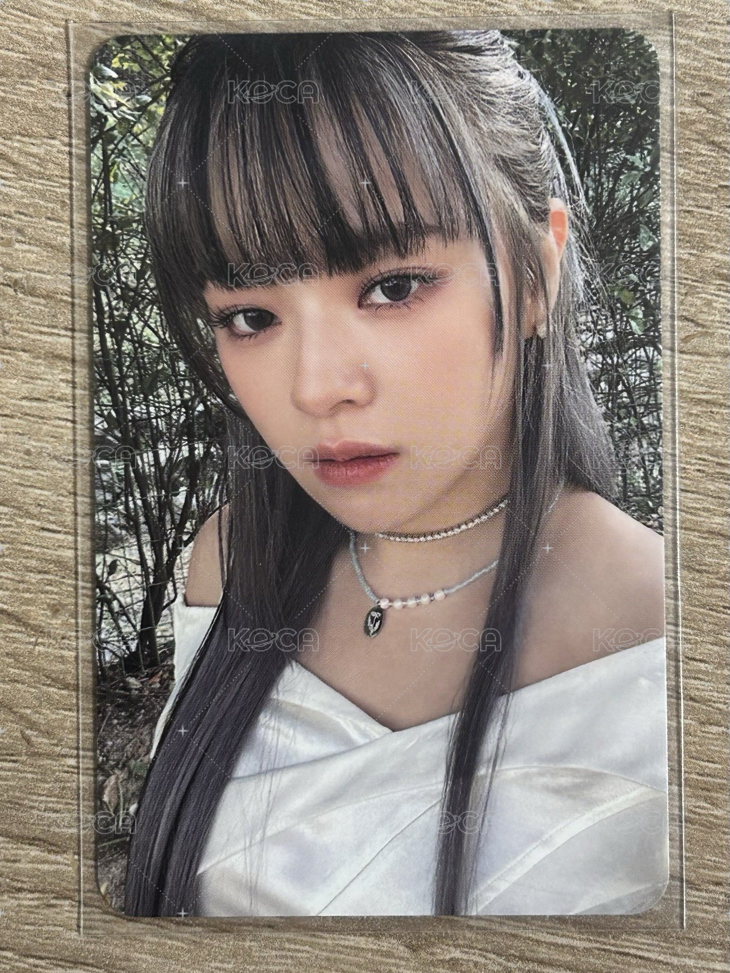 綠背定