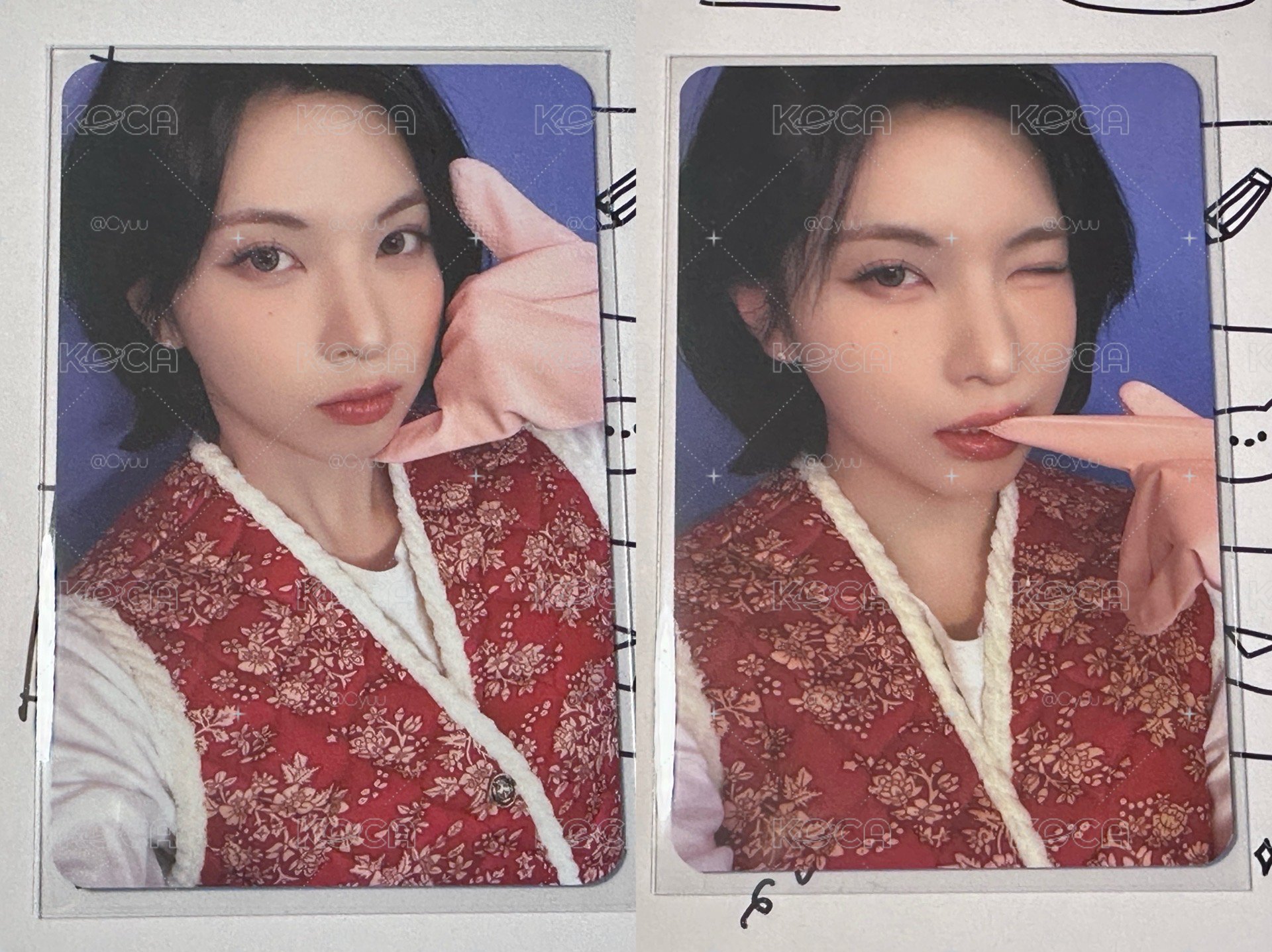 泡菜裴