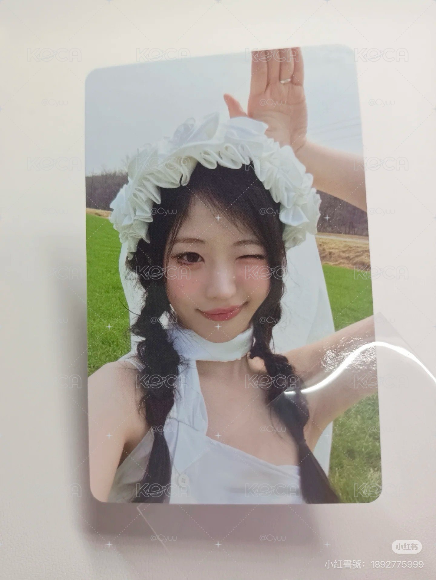 wvs預售 娜