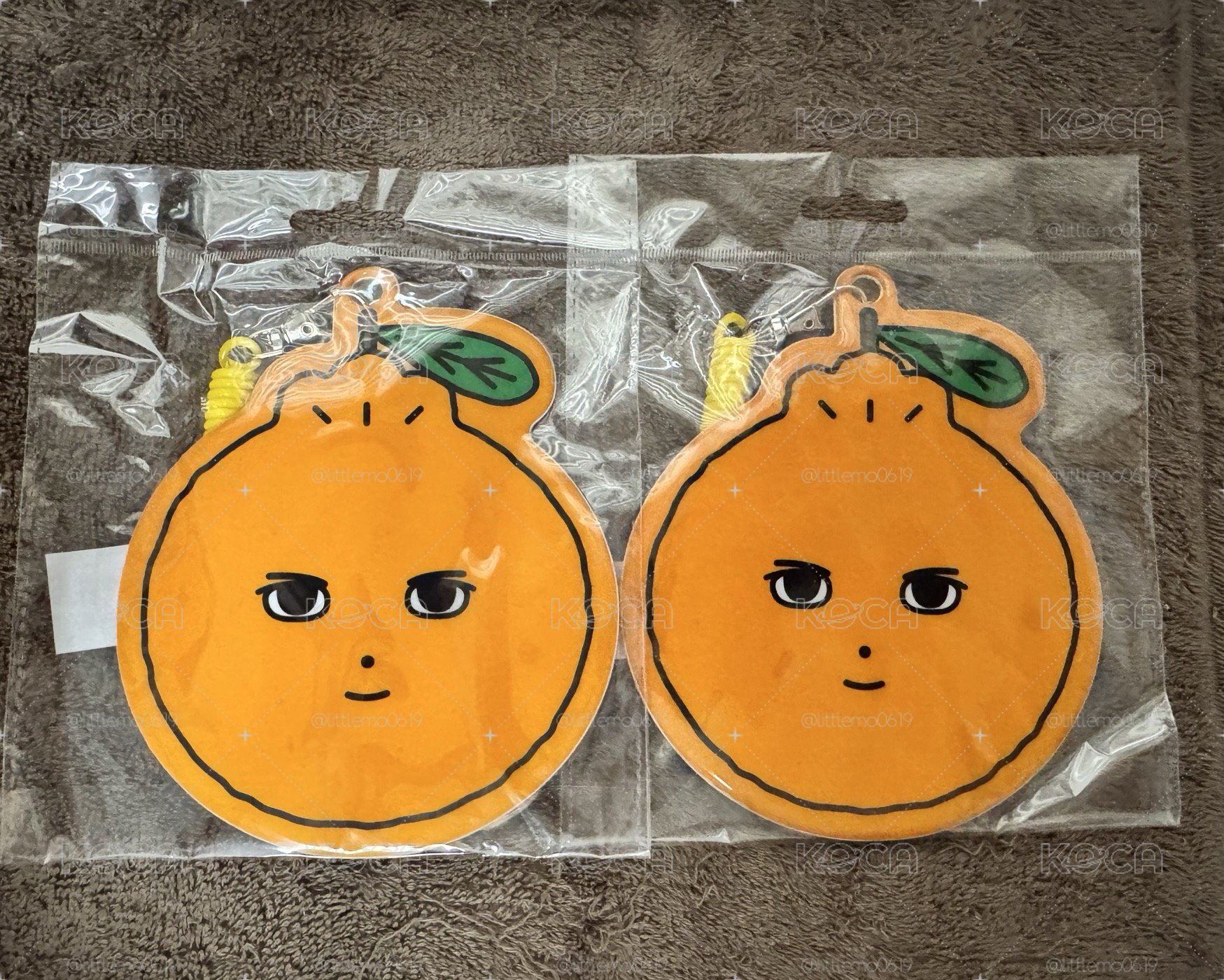 EXO爬梯子的世界旅行🍊濟州島🍊行李吊牌