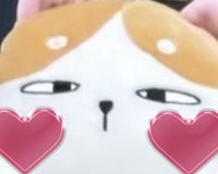 VzV