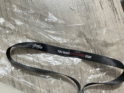 Stray Kids 二代應援手燈